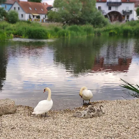 Gemuetliches In Bewohntem Familienhaus Direkt Am Fluss Malerischer Ort Bad Und Kueche Geteilt