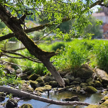 Gemuetliches In Bewohntem Familienhaus Direkt Am Fluss Malerischer Ort Bad Und Kueche Geteilt *